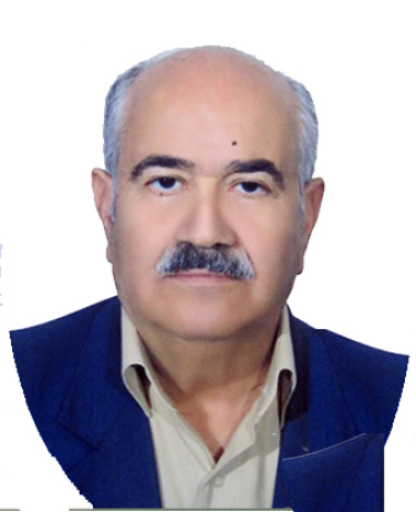 عزیز الله محمدیاری، عضو اصلی 